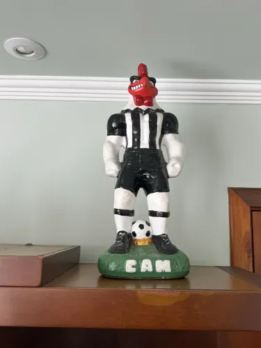 Vendo Galo de Gesso 35cm