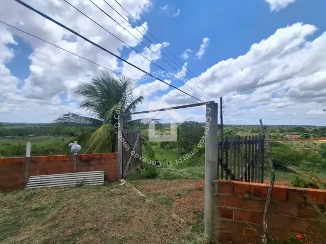 Sítio à Venda em Itaporanga/SE com Casa 3/4 | Ideal para Quem Busca Tranquilidade e Nature