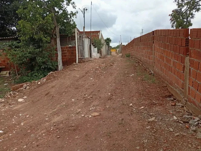 Lote