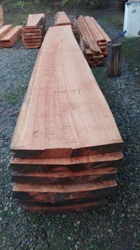 Vendo lote de prancha de cedrinho ou unidade total 50 peça de 25,cm a 60,cm