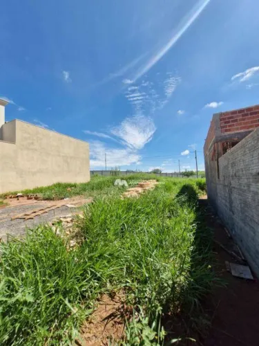 Terreno à venda, 273 m² por R$ 313.500,00 - Village Normandie - São José do Rio Preto/SP