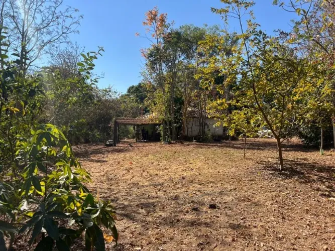 Excelente terreno rural de 9,5 hectares, com casa, lagoa, pomar produzindo e curral.