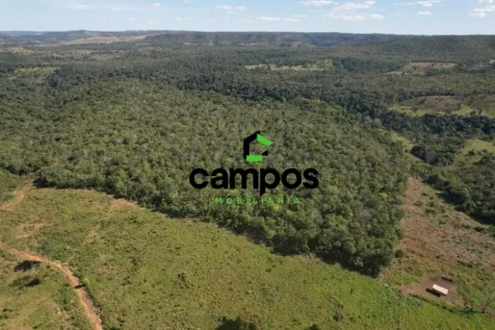 CAMPOS IMOBILIARIA VENDE FAZENDA DE 64 ALQUEIRES MUNICIPIO DE PALMAS - TO