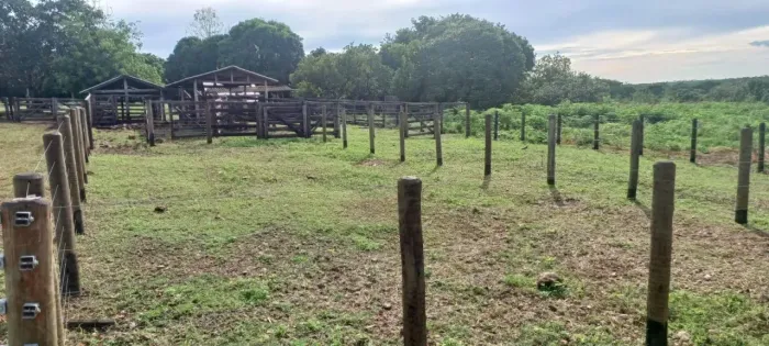 Fazenda Residencial / Comercial a Venda com 2 quartos no bairro zona rural em Várzea Grand