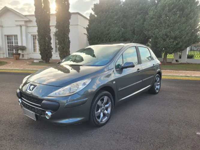 Peugeot 307 Soleil/ Presence 1.6/1.6 Flex 16V 5P 2009