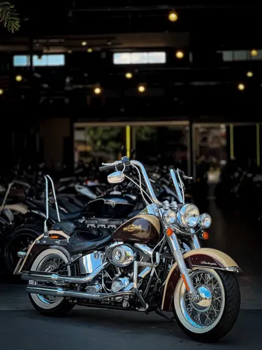 HARLEY-DAVIDSON SOFTAIL DELUXE FLSTN 2014