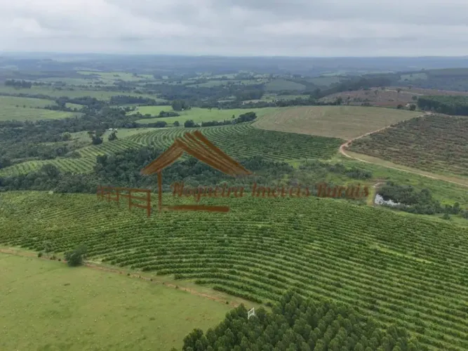 Fazenda a venda com 73 alqueires na região de Anhembi-SP