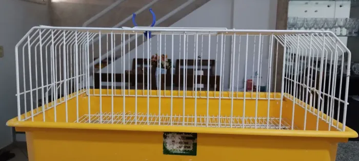 Gaiola para porquinho da índia!