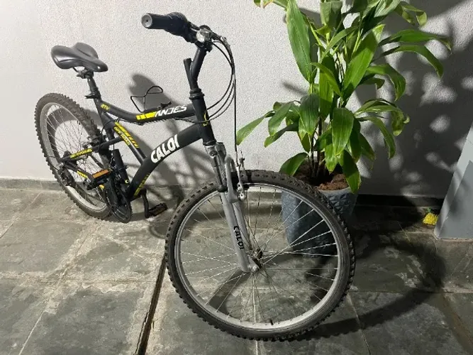 Bicicleta Caloi Andes Aro 26 