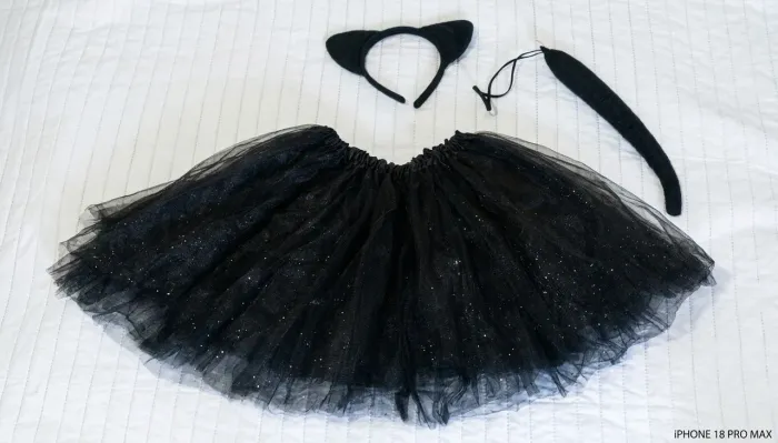 Fantasia gato preto