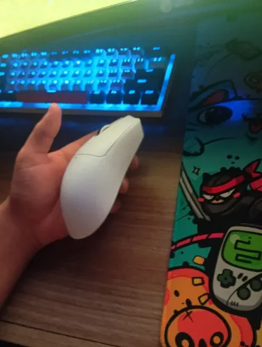 Mouse