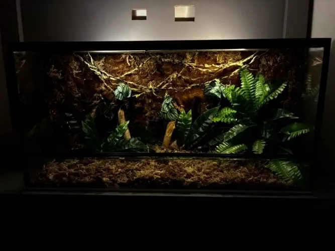 Terrario de vidro 100x50x50