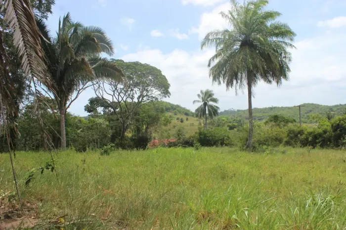 SÍTIO BEIRA BARRAGEM  MATA DE SÃO JOÃO (20,1 Hectares)