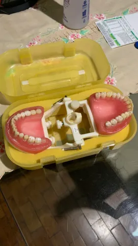 Vendo Manequim de Dentistica da Prodens