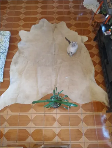 Tapete de couro Peça única (BRINDE na descrição.)