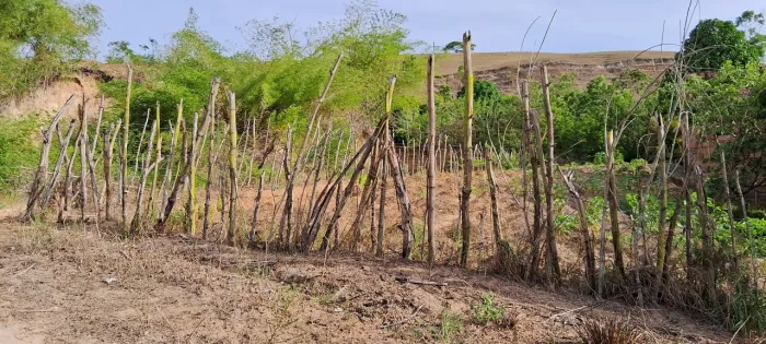 Venda de Terreno 