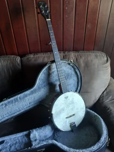 Banjo de 5 cordas 