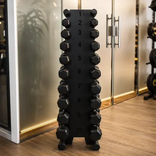 Halteres + suporte de 10 pares para academia e musculação