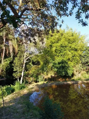 Imóvel para venda com 2000 metros quadrados em Centro - Piedade dos Gerais - MG