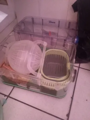 Vende casinha para hamster