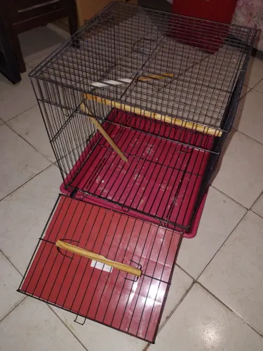 Gaiola para calopsita