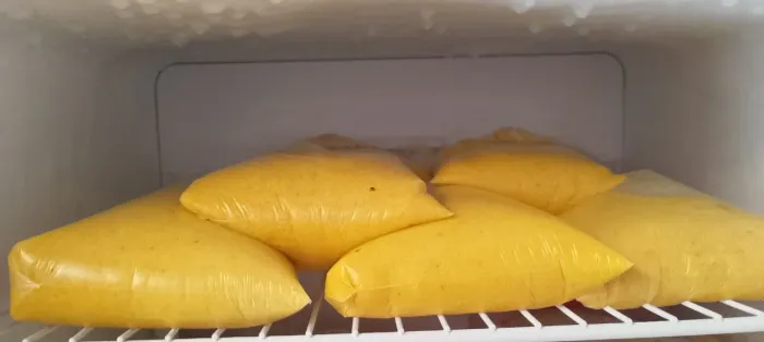 Polpa de caju