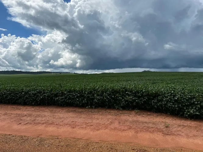 Fazenda pra arrendamento