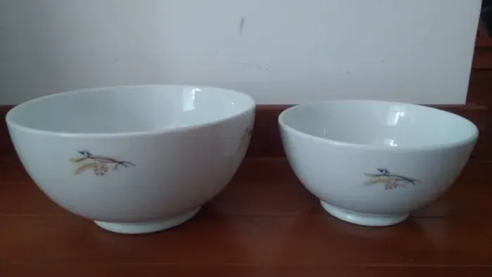 Tigelas bowls de porcelana Steatita