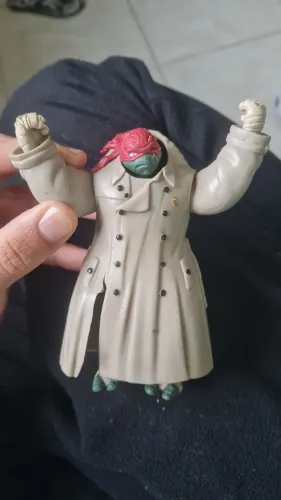 Tartaruga ninja antiga