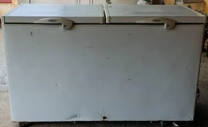 Freezer horizontal