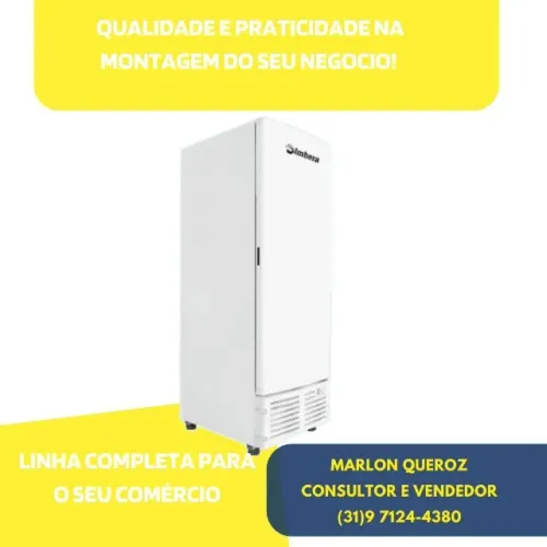 Congelador Vertical Imbera Porta Cega