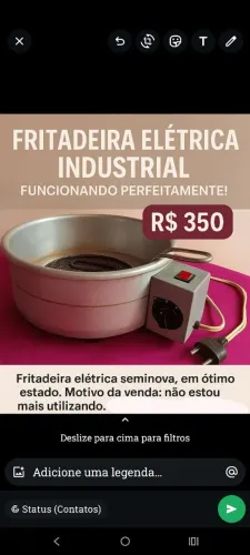 Fritadeira Industrial - R$ 350