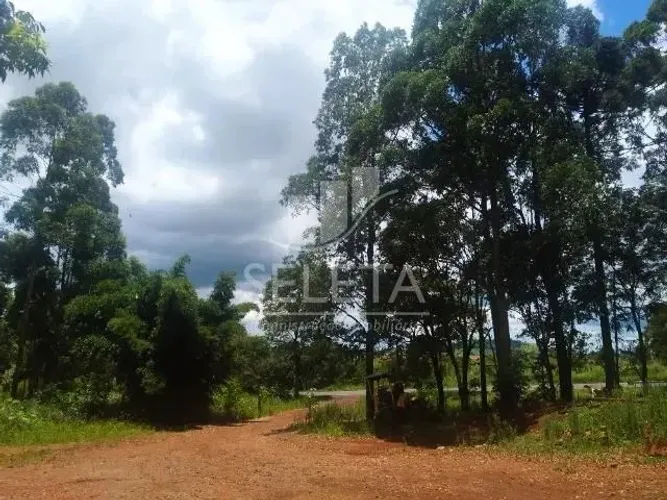 Chácara à venda, com Casa e Barracão ao Lado Lot. Paris, GUARANIACU - PR