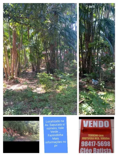 Vendo um terreno