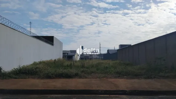 Terreno disponível para venda no bairro Novo Mundo em Uberlândia-MG