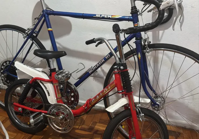 Bicicleta berlineta