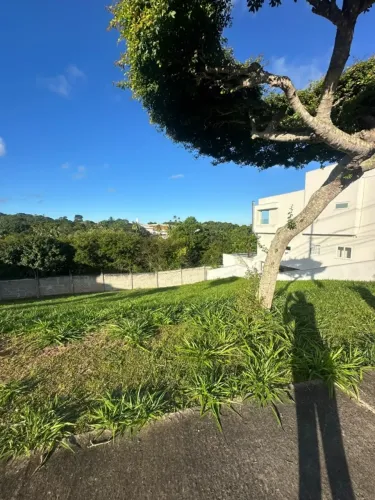 Lote para Venda em Camaçari, Alphaville (Abrantes)