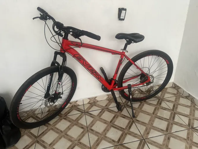 Bicicleta ever aro 29