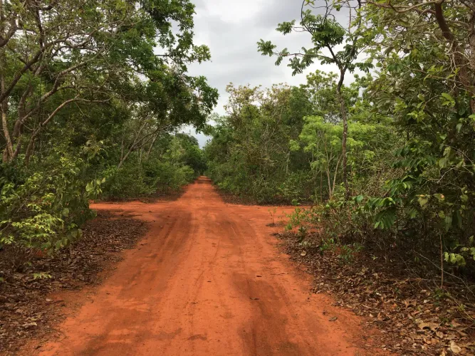 Lote bairro Campina Grande Sao José do Buriti Felixlandia Mg