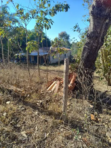 Chacara