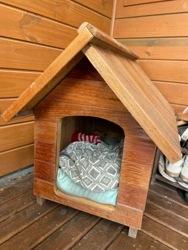 casinha nova de cachorro