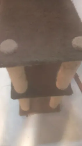 Arranhador de gato