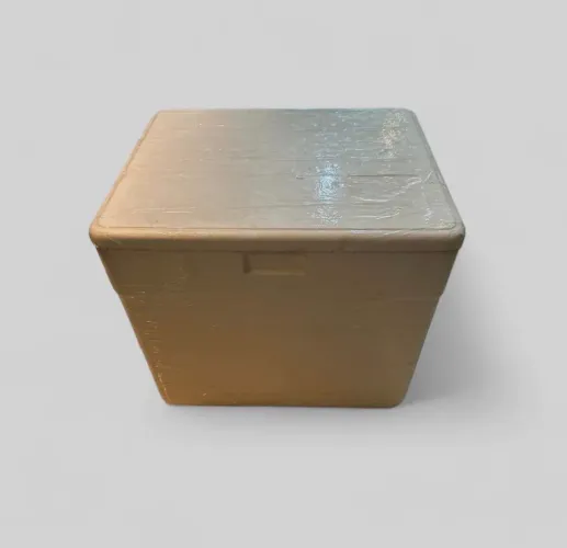CAIXA TÉRMICA DE ISOPOR 