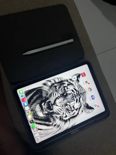 iPad 256GB
