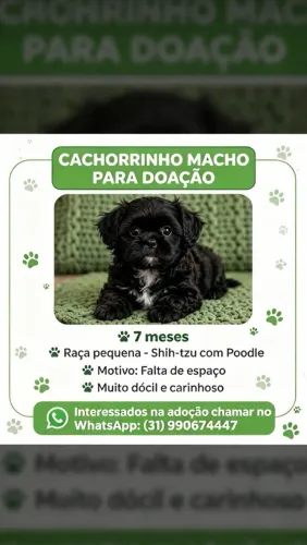 Para doação