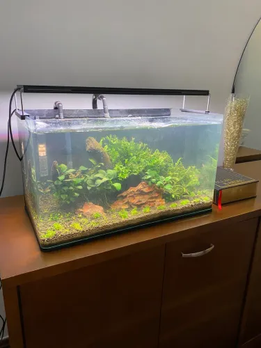 Aquário 58 litros com borda curva completo