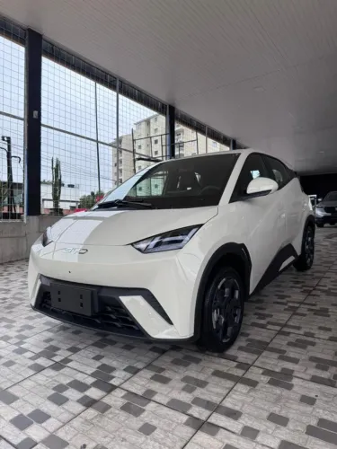 BYD Dolphin Mini (Elétrico) 2027