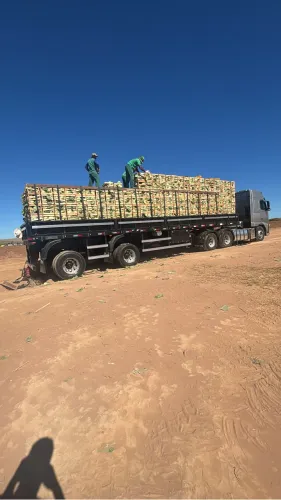 Carretinha 2 eixos