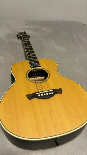 Violão Tagima mini GS