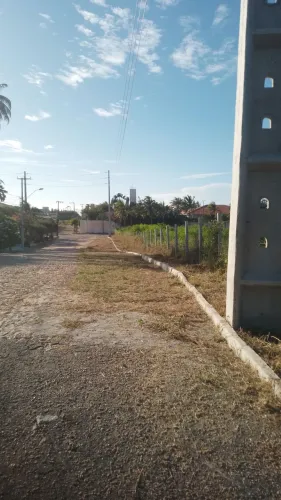 Serviços  de limpeza 